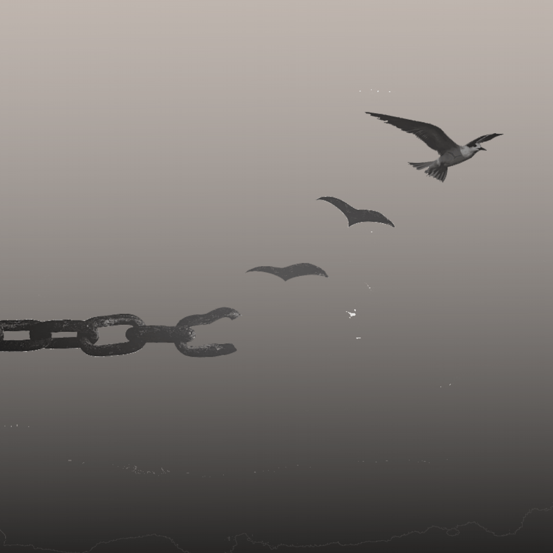 Design sem nome (3)
